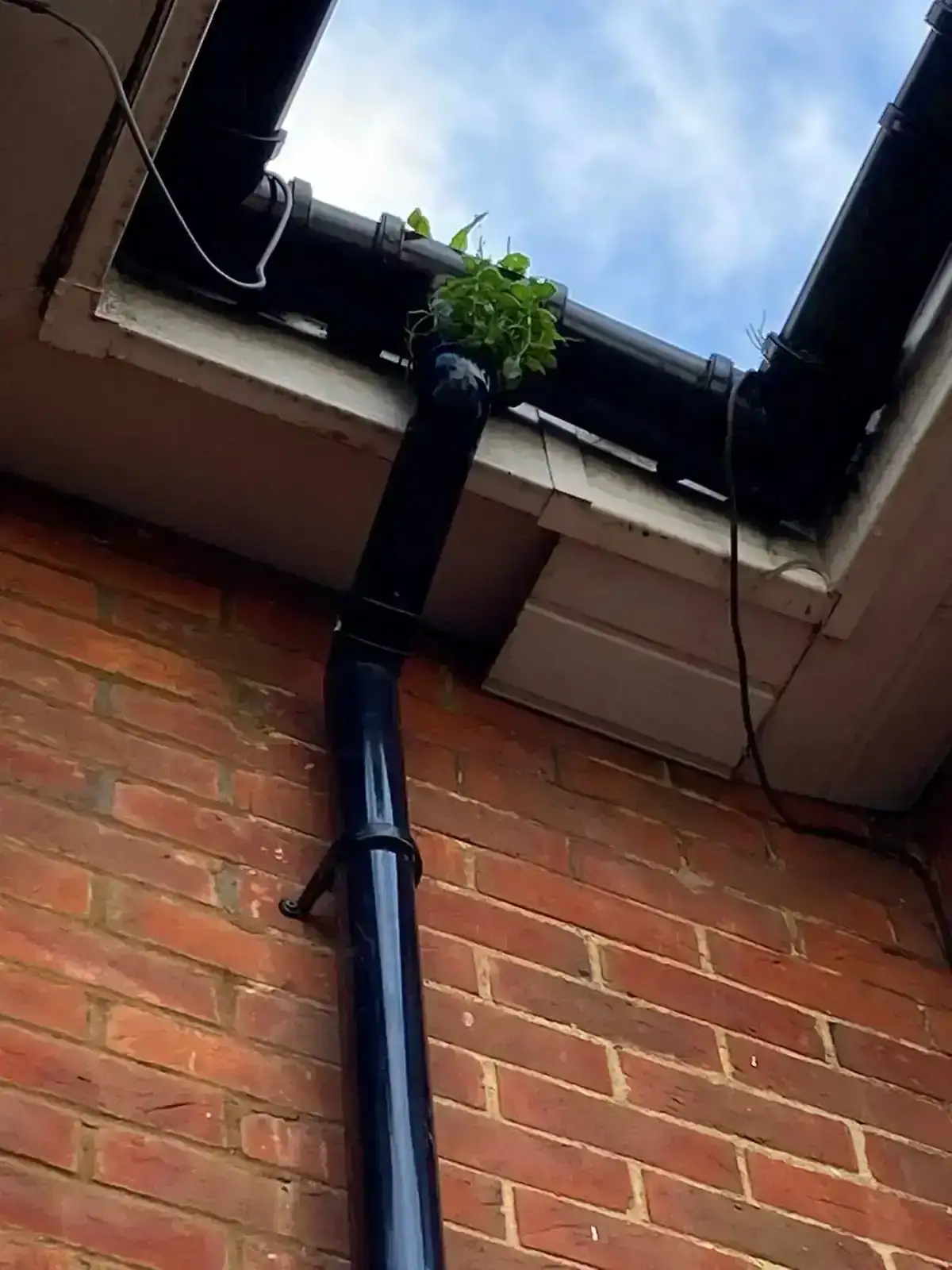 Downpipe Blockage Testing